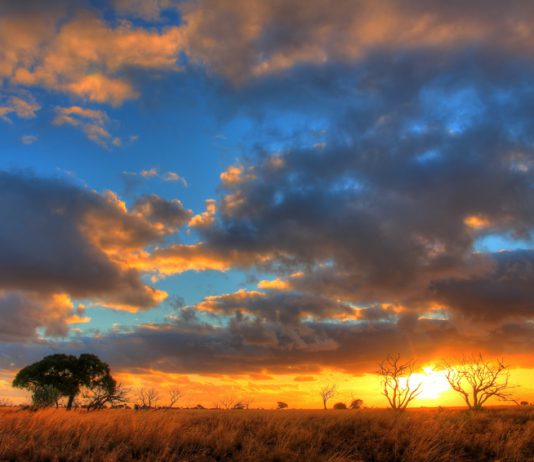 Nullarbor Plain