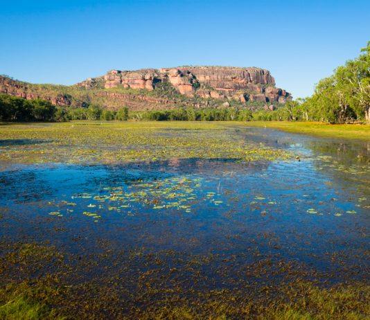 Nourlangie Billabong, Kakadu National Park