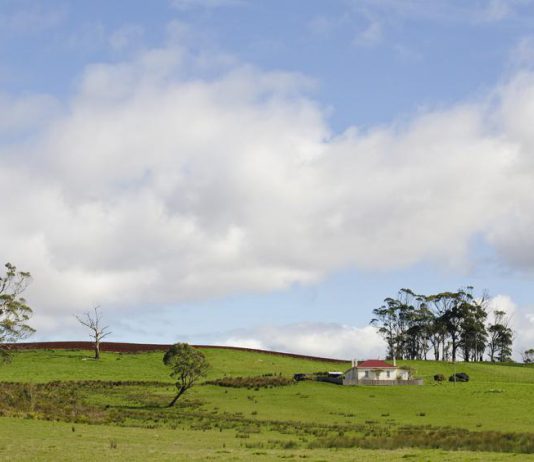 Liffey Valley - Tasmanie