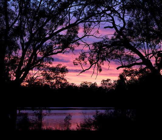 Mallee Country - Victoria - Australie