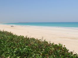 Requin Cable Beach