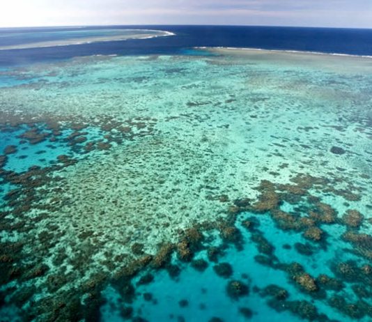 Sauvetage Grande Barrière de Corail