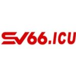 Illustration du profil de sv66icu